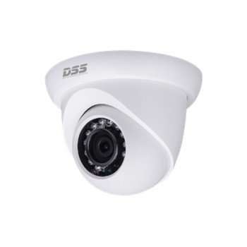Camera IP DS2300DIP